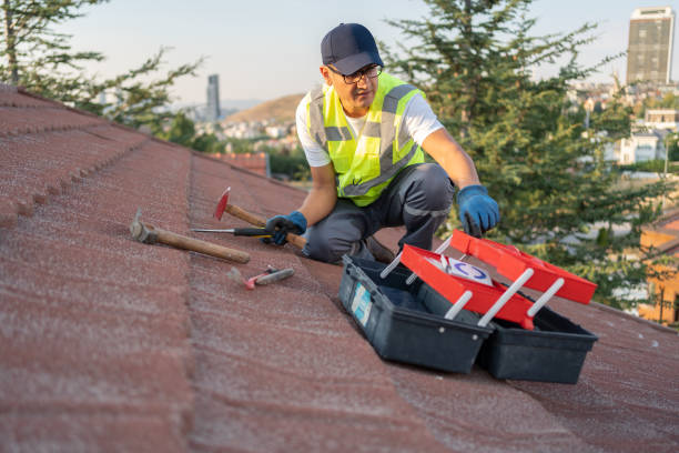 Best Shed Removal  in Normandy Park, WA